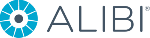 ALIBI SECURITY LOGO
